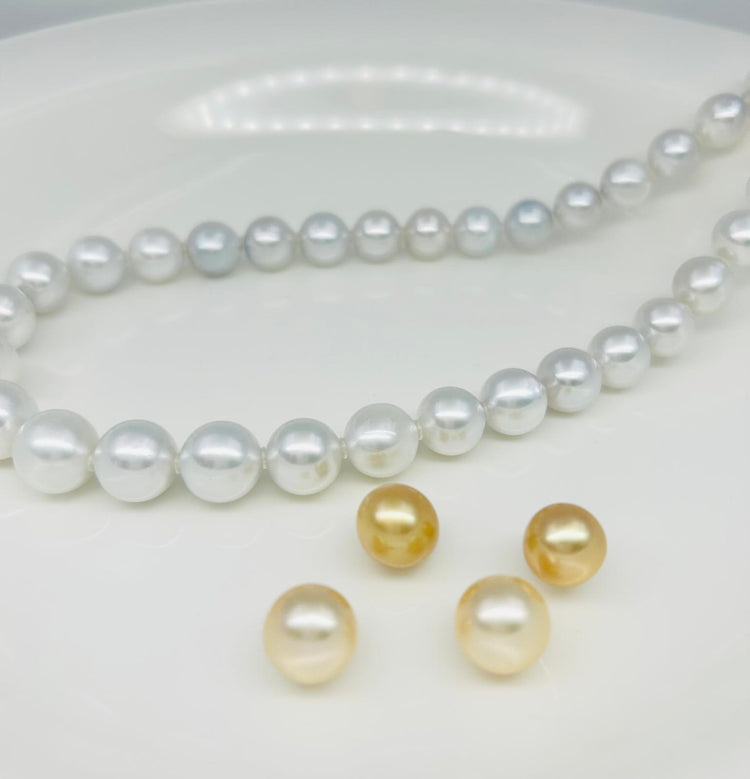 South Sea Pearls